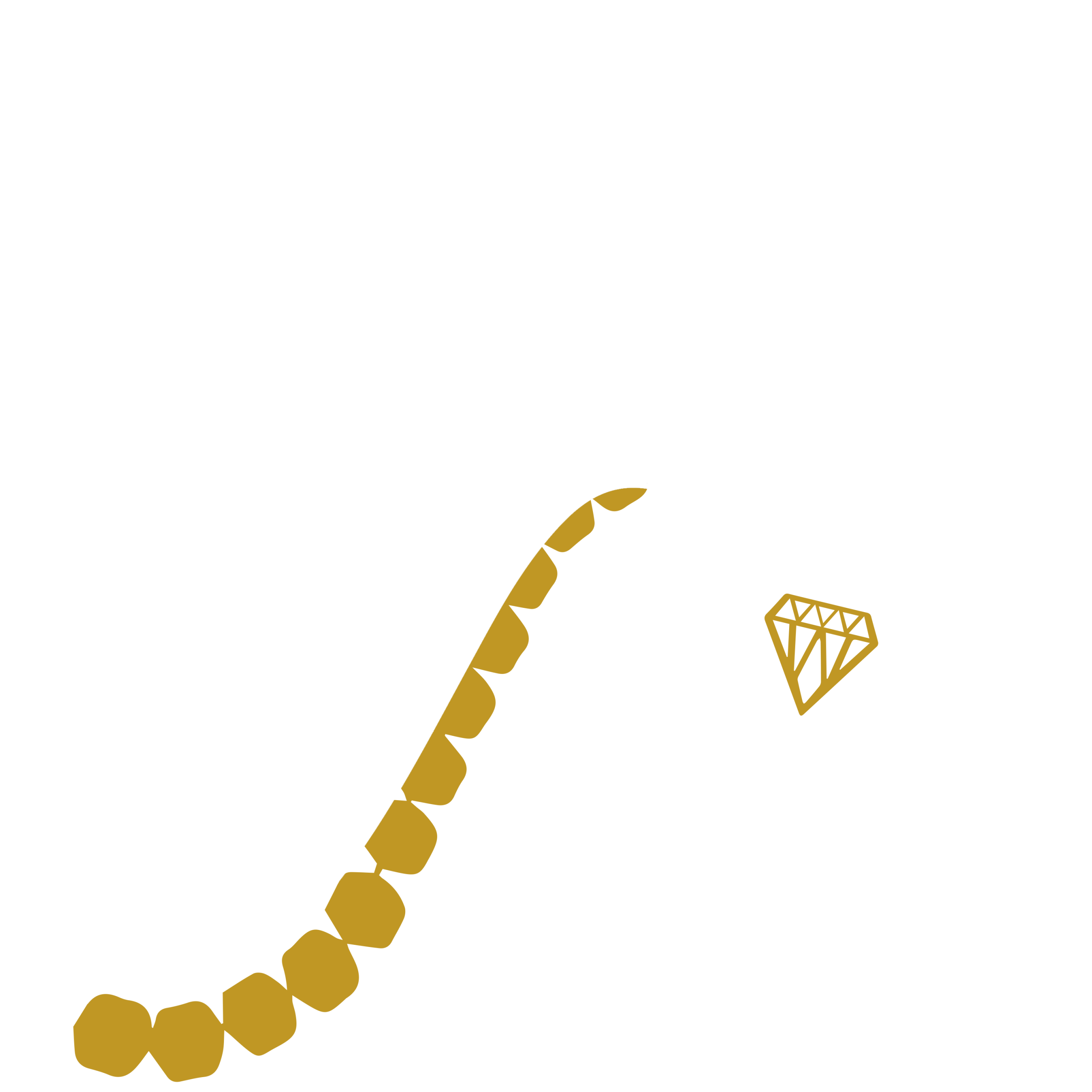 إشراقات النور - مساحتك للإلهام والمعرفة من مؤسسة النور